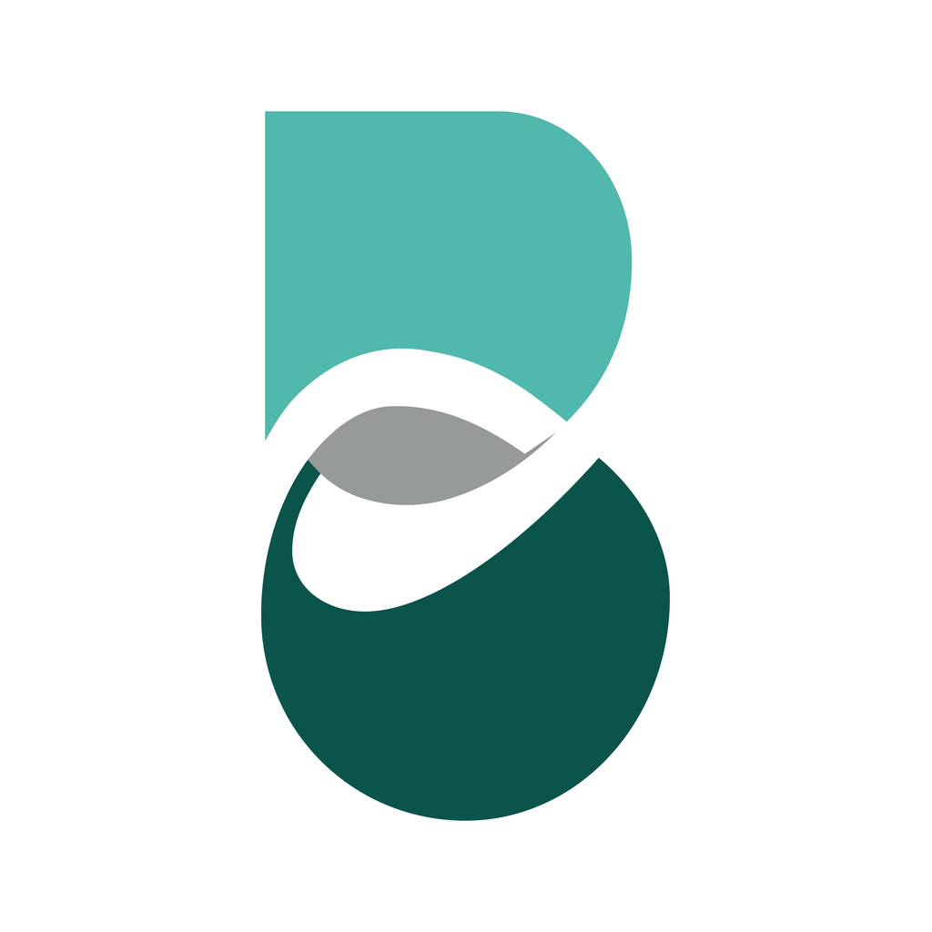 BalanceLoop app icon